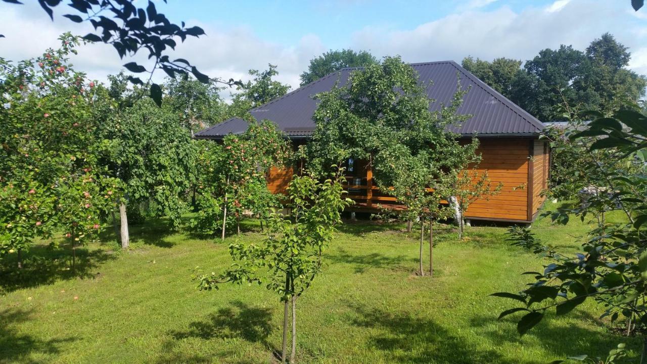 Vila Vasarnamis Zarasuose Zarasai Exteriér fotografie