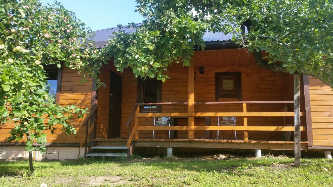 Vila Vasarnamis Zarasuose Zarasai Exteriér fotografie
