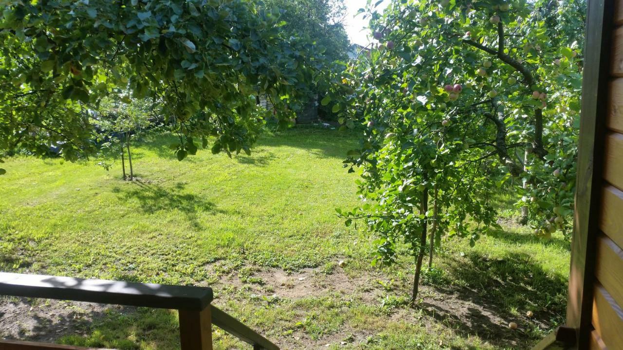 Vila Vasarnamis Zarasuose Zarasai Exteriér fotografie