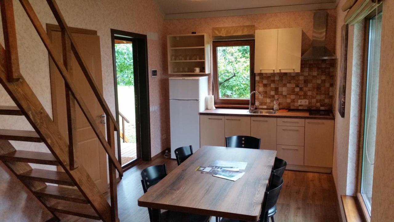 Vila Vasarnamis Zarasuose Zarasai Exteriér fotografie
